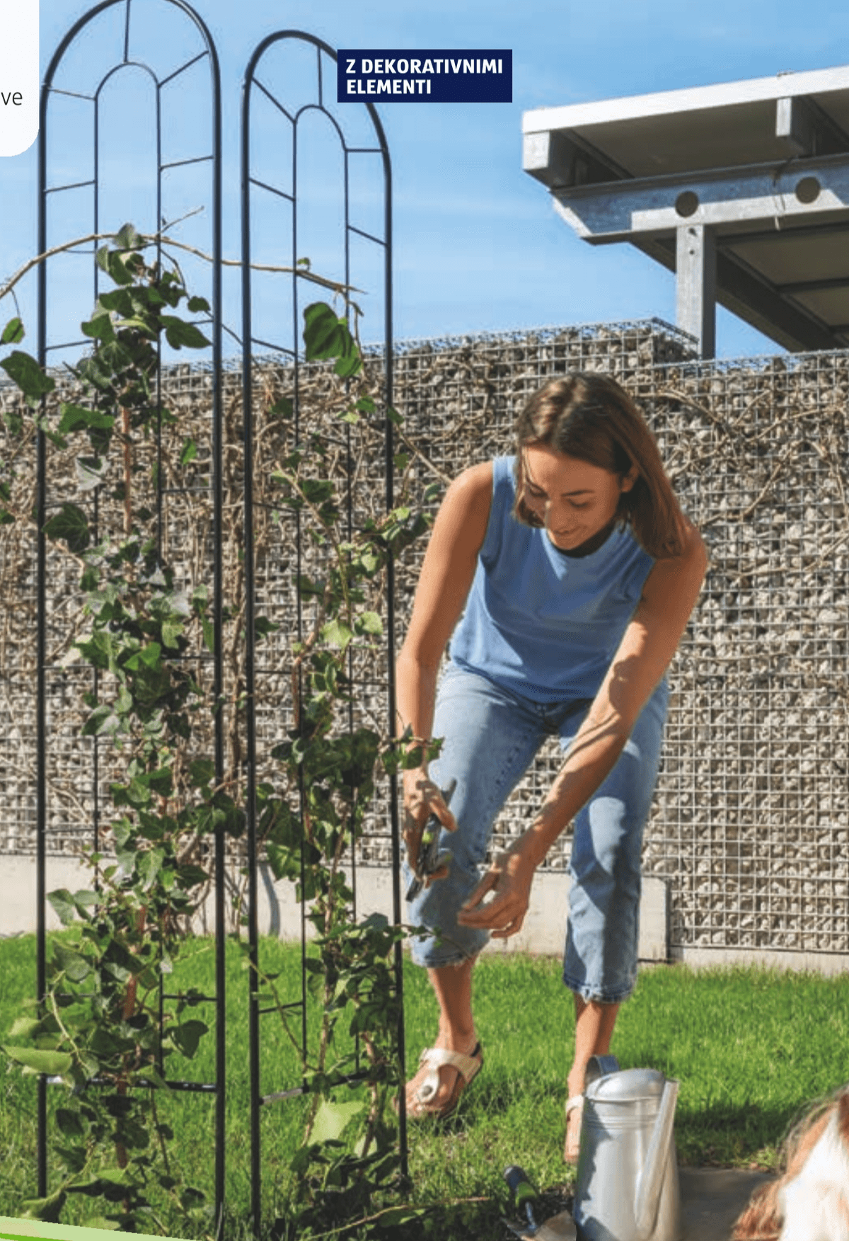 Opora za vzpenjavke BELAVI - Akcija v trgovini Hofer