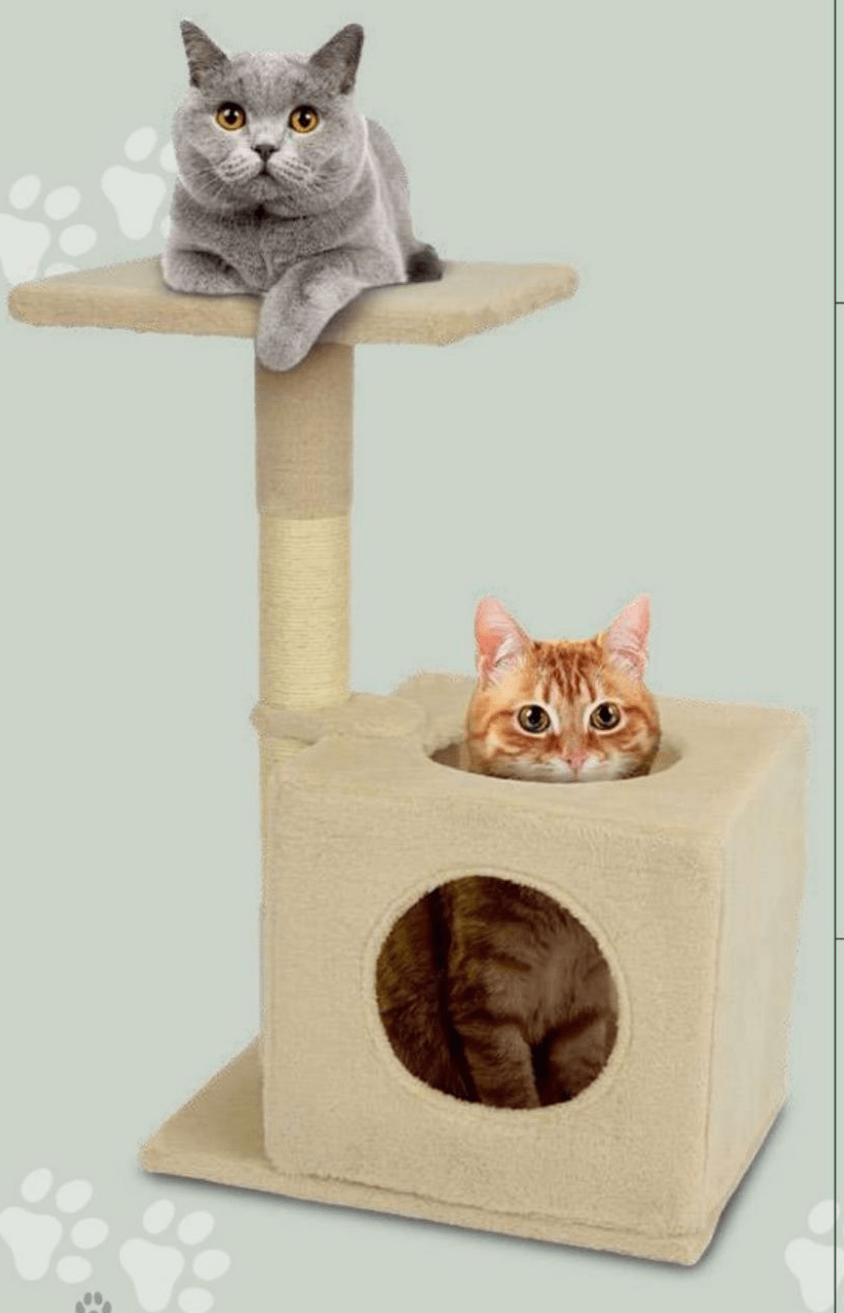 Praskalnik s skrivališčem Radames - Akcija v trgovini Eurospin