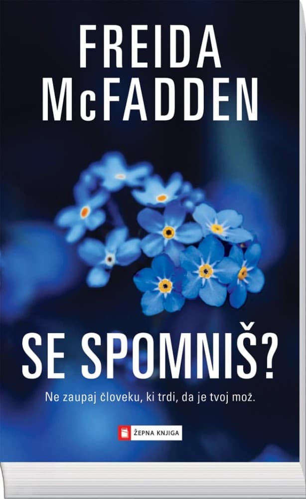 Freida McFadden Se spomniš? Akcija v trgovini Lidl