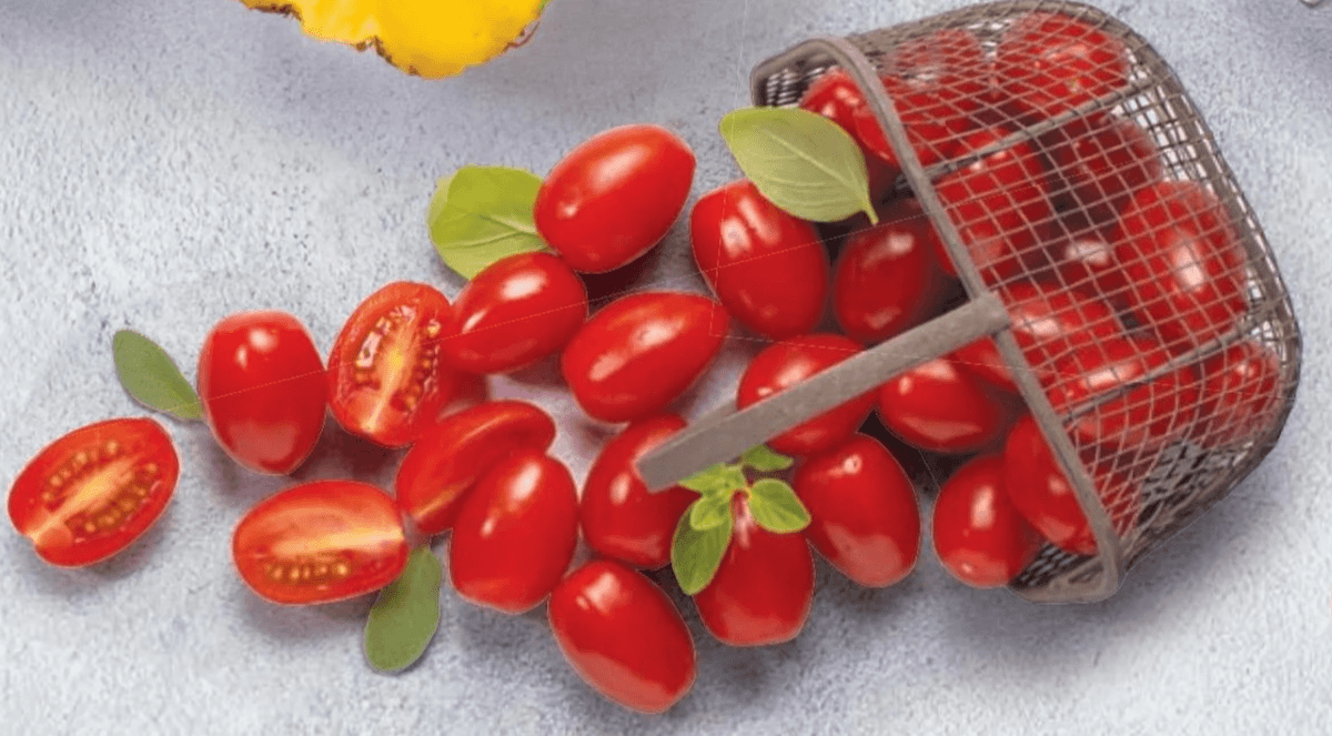 Datljev Paradižnik 500 g - Akcija v trgovini Hofer