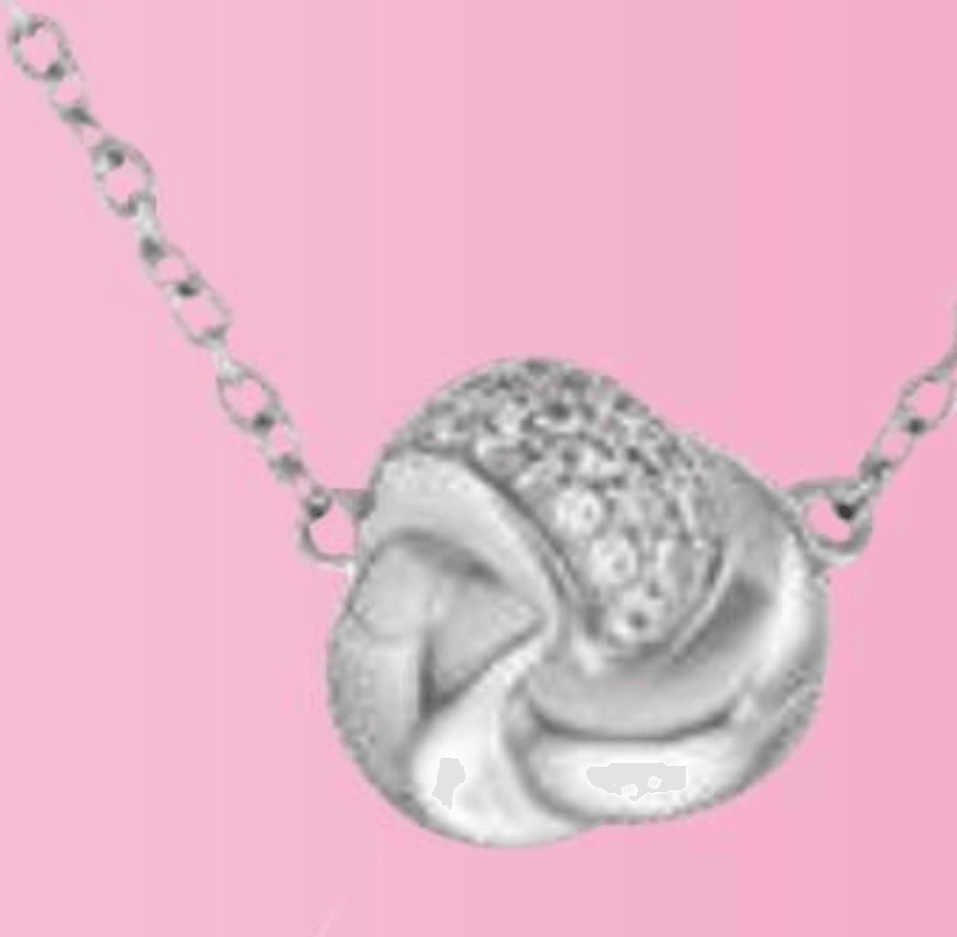 Ogrlica s cirkonijevimi oksidi - Akcija v trgovini E.Leclerc