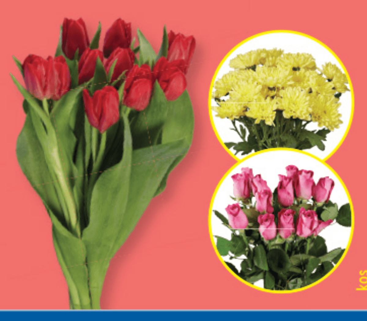 Šopek krizantem/vrtnic/tulipanov - Akcija v trgovini Lidl