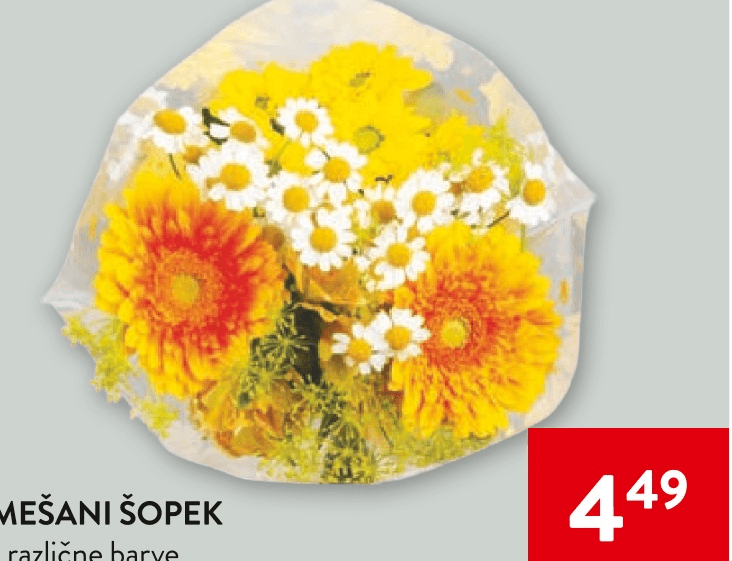 Mešani šopek - Akcija v trgovini Spar