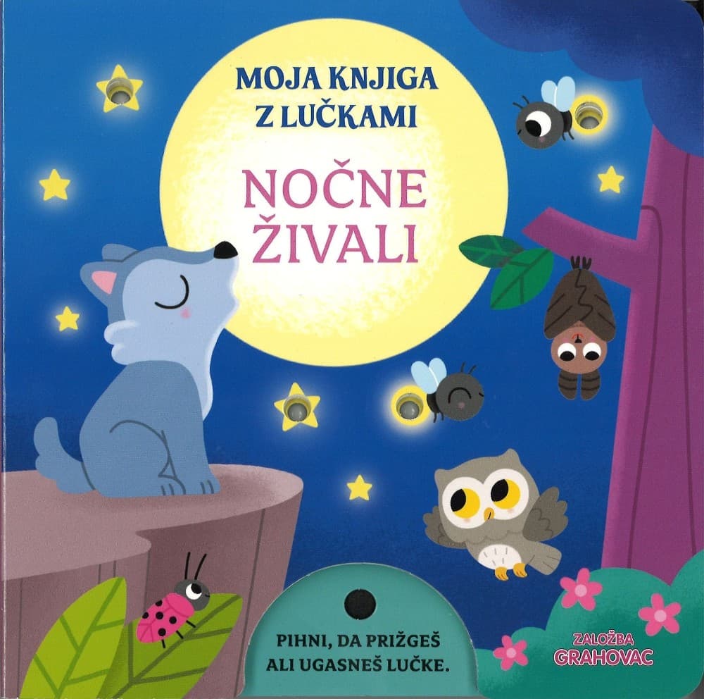 Moja knjiga z lučkami Nočne živali Akcija v trgovini Lidl