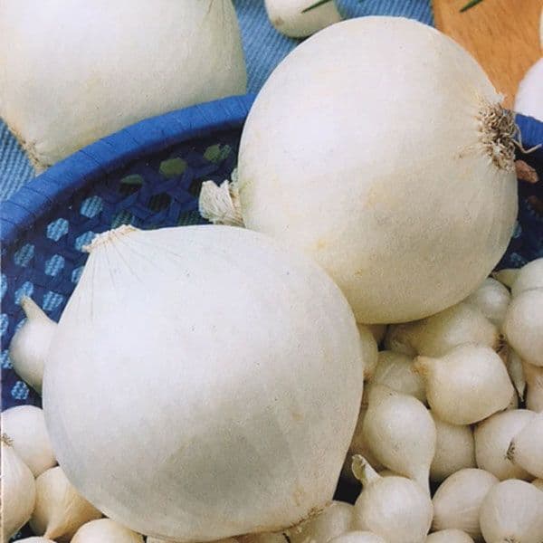 Čebulček Snowball beli 500 g Akcija v trgovini Jager