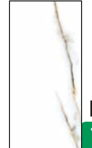 Keramika Soncera Neo Carrara 60 x 120 cm - Akcija v trgovini Jager