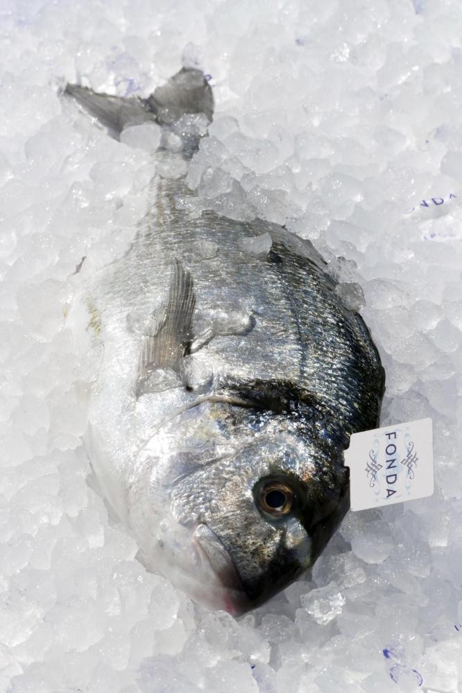 Fonda Orada 1 kg - Akcija v trgovini Spar