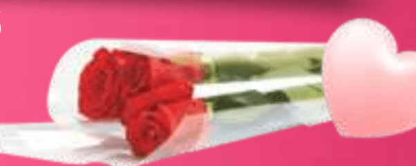 Sveža vrtnica - Akcija v trgovini E.Leclerc