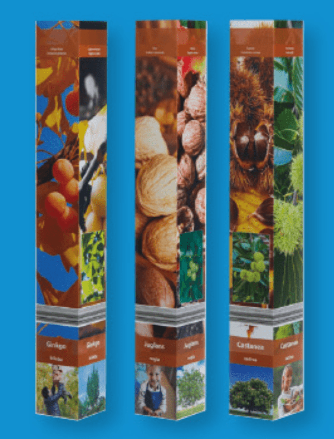 Sadike drevja - Akcija v trgovini Lidl