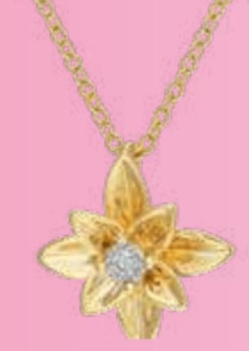 Ogrlica z diamanti - Akcija v trgovini E.Leclerc