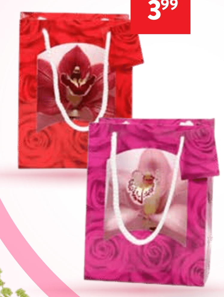 Cvet orhideje - Akcija v trgovini Spar