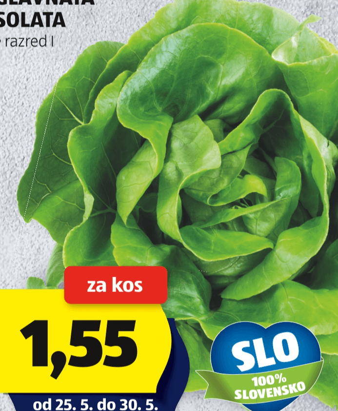 Hofer tržnica Slovenska glavnata solata - Akcija v trgovini Hofer