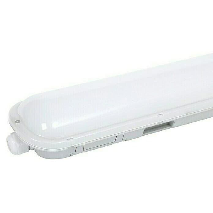 LED svetilka za vlažne prostore 14 W VOLTOLUX Akcija v trgovini Bauhaus