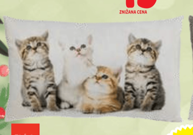 Tissaia okrasna blazina 40 x 40 ali 30 x 50 cm Akcija v trgovini E.Leclerc