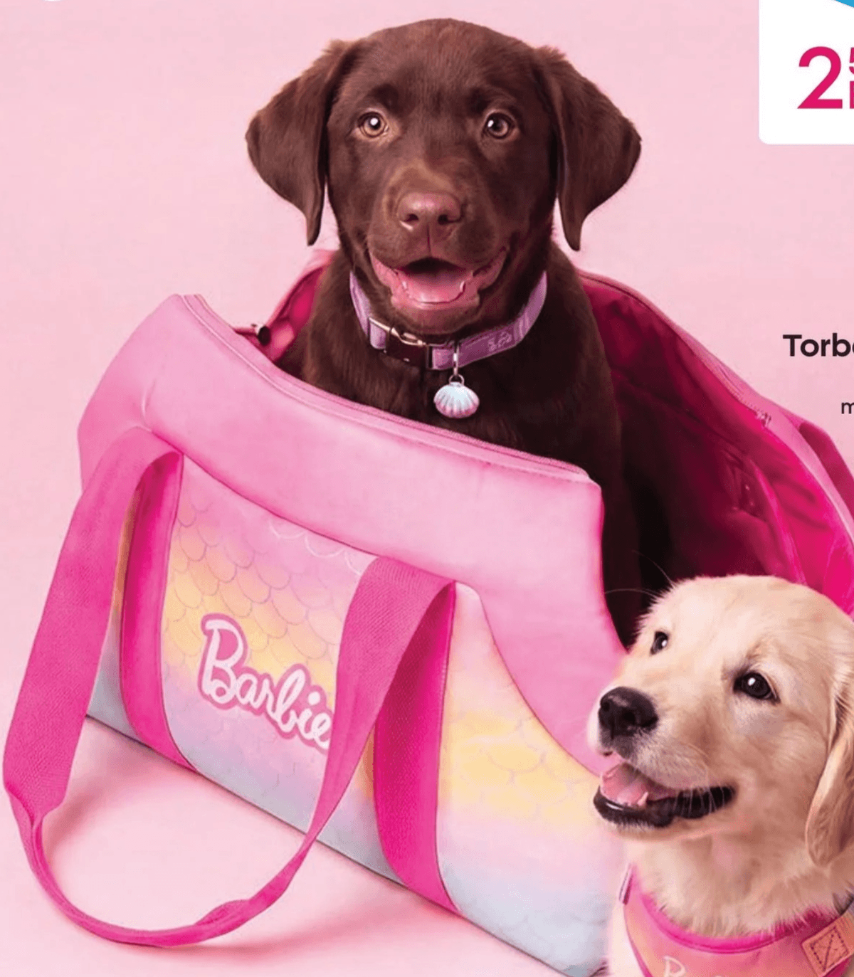 Torba za domače živali Barbie Akcija v trgovini Pepco