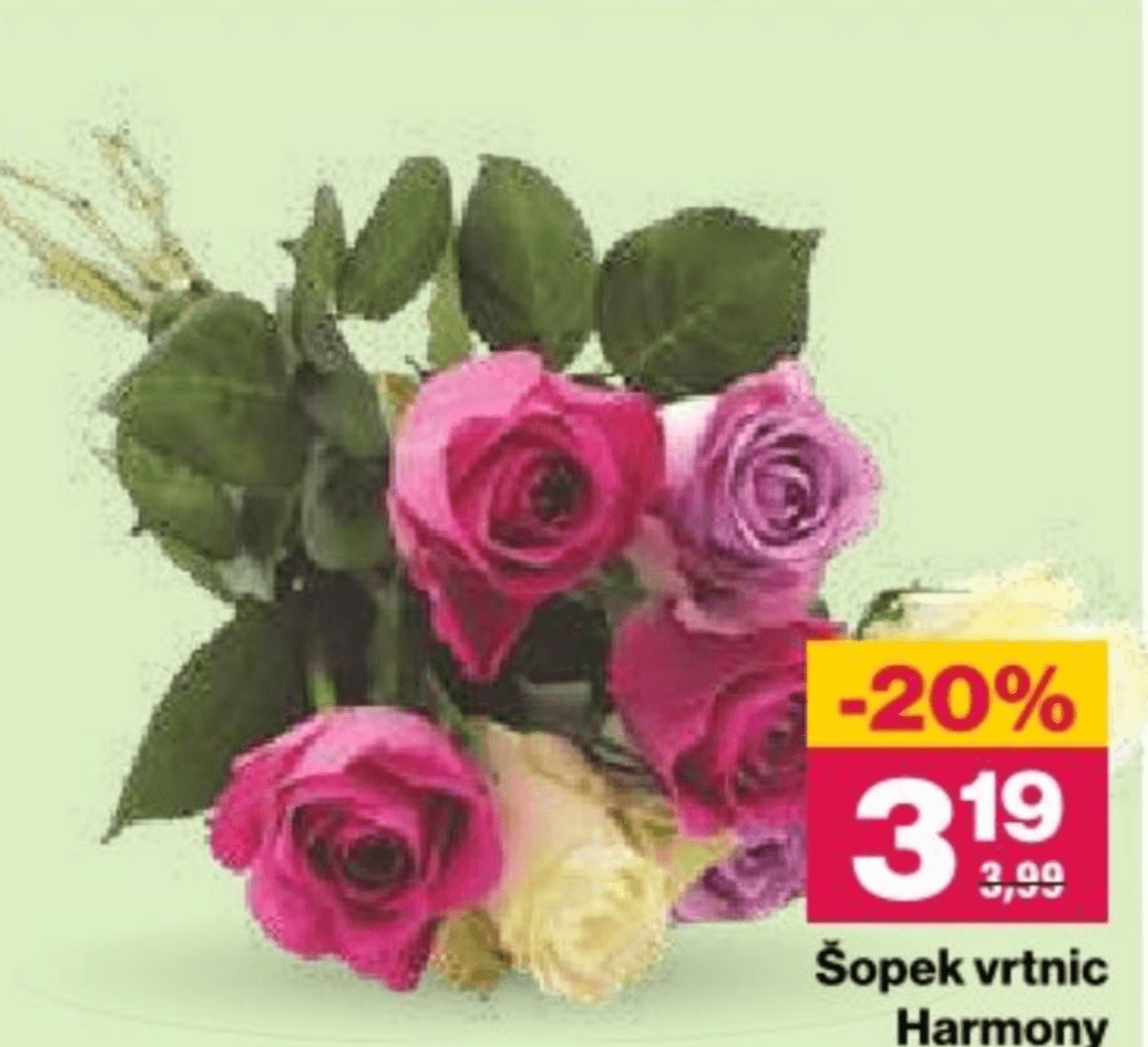 Šopek vrtnic Harmony 7 cvetov - Akcija v trgovini Mercator