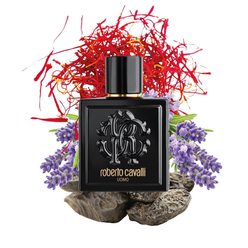 Roberto Cavalli moška toaletna voda 100 ml Akcija v trgovini E.Leclerc