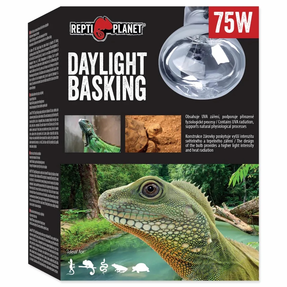 Grelne žarnice Repti Planet Daylight Basking Spot - Akcija v trgovini Mr. Pet