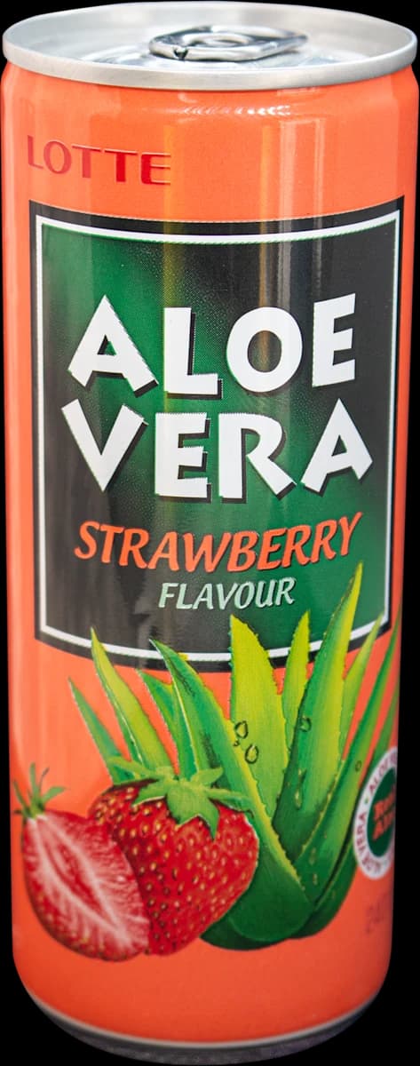Lotte Aloe Vera negazirana pijača 240 ml Akcija v trgovini Dm