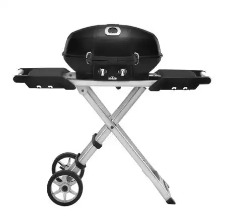 Prenosni plinski žar PRO28SX NAPOLEON - Akcija v trgovini Lesnina