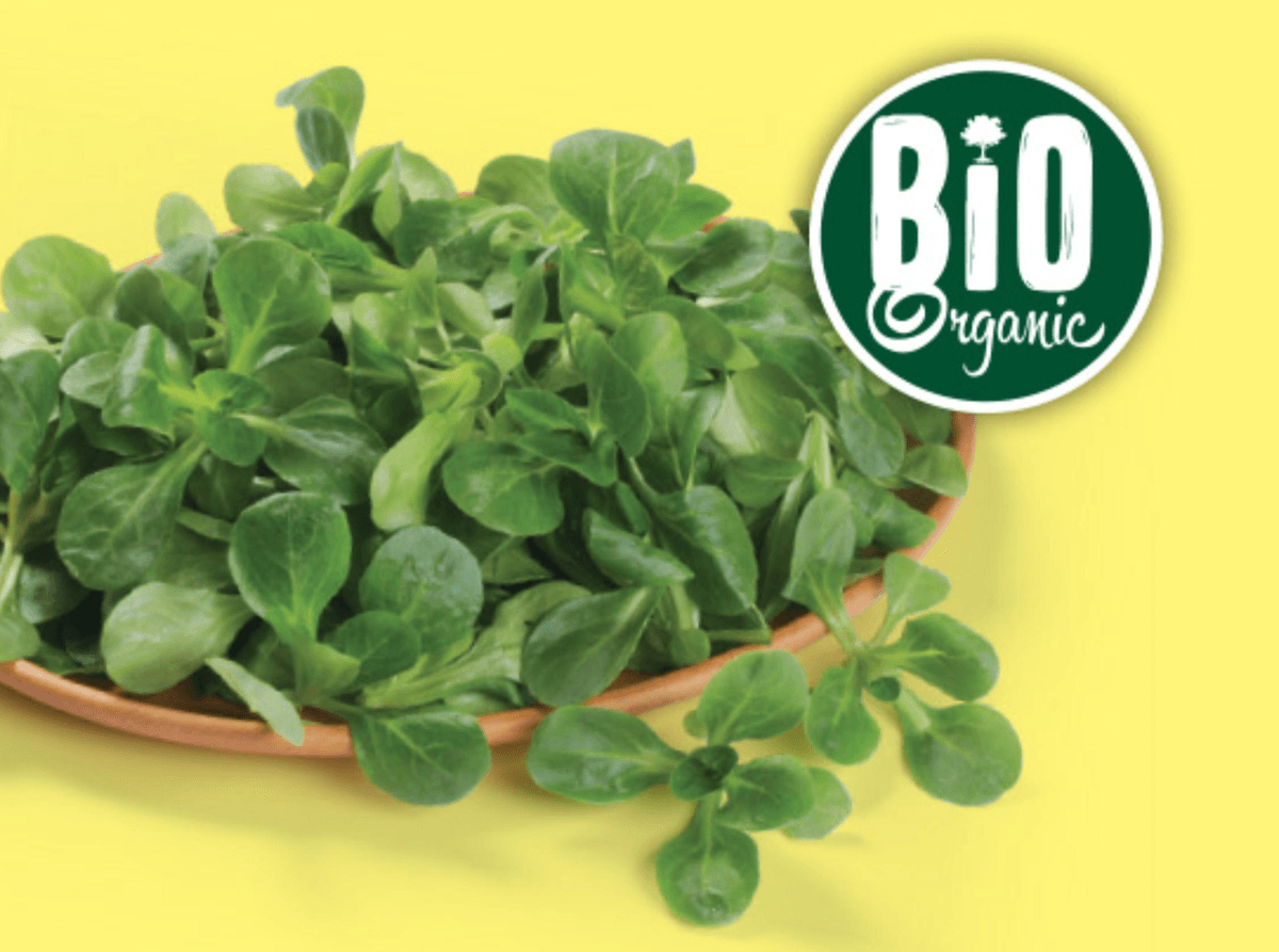 Bio motovilec 100 g Bio Organic Akcija v trgovini Lidl