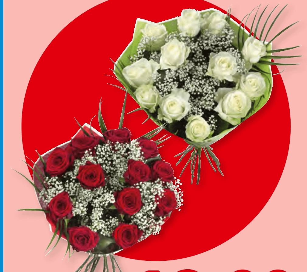 Žametni objem - Akcija v trgovini Lidl