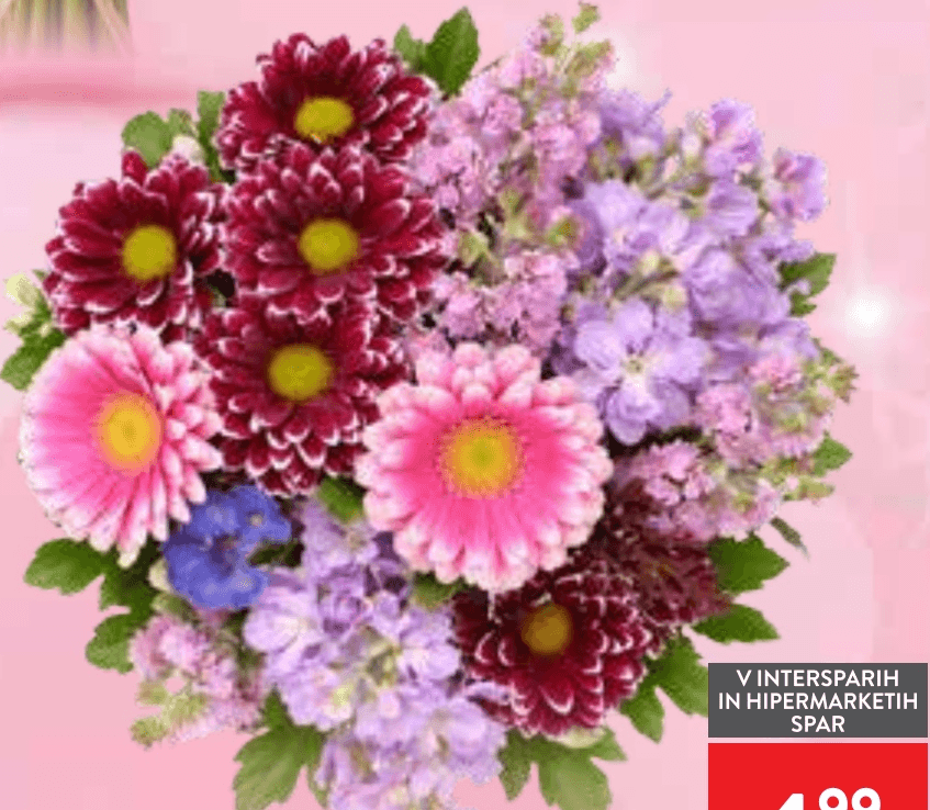 Mešani šopek - Akcija v trgovini Spar