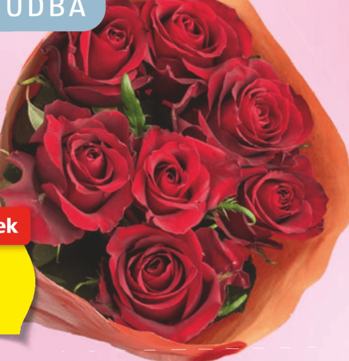 Vrtnice Premium 7 stebel, 60 cm Akcija v trgovini Hofer