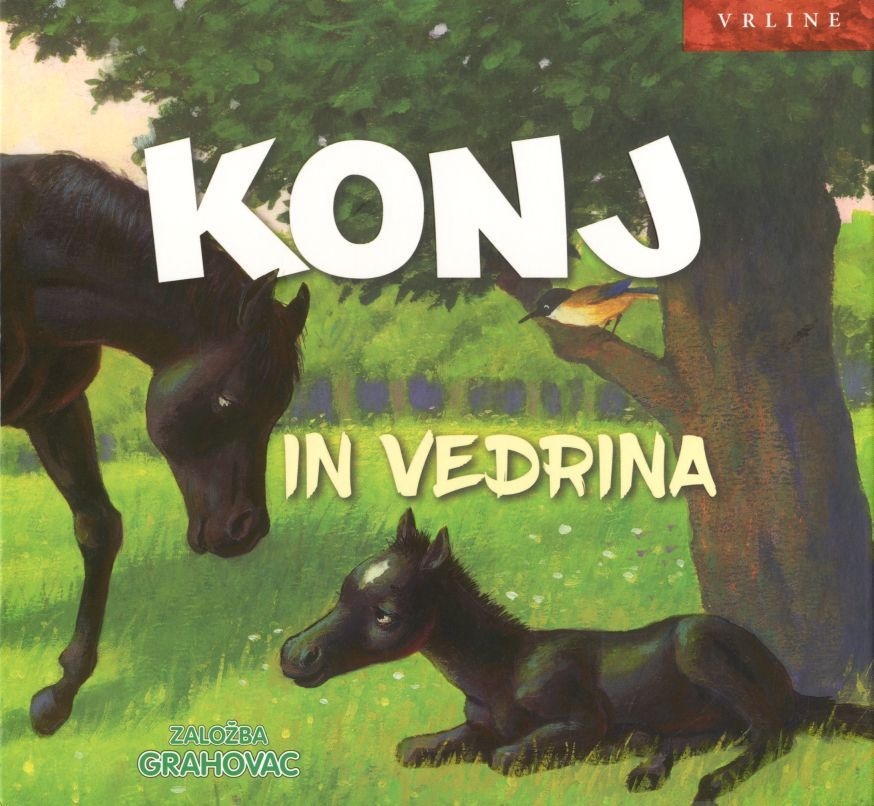 Konj in vedrina - Akcija v trgovini Lidl