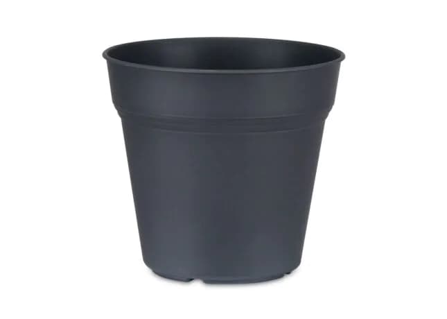 Posoda za aranžiranje 17 cm Akcija v trgovini E.Leclerc