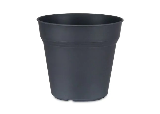 Posoda za aranžiranje 17 cm Akcija v trgovini E.Leclerc
