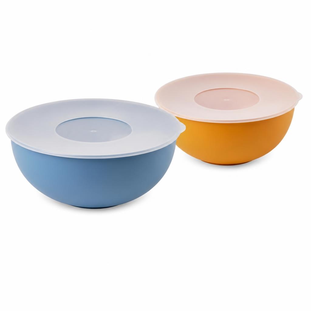 Komplet dveh skled za solato s pokrovom Ø 24 + 28 cm Akcija v trgovini Eurospin