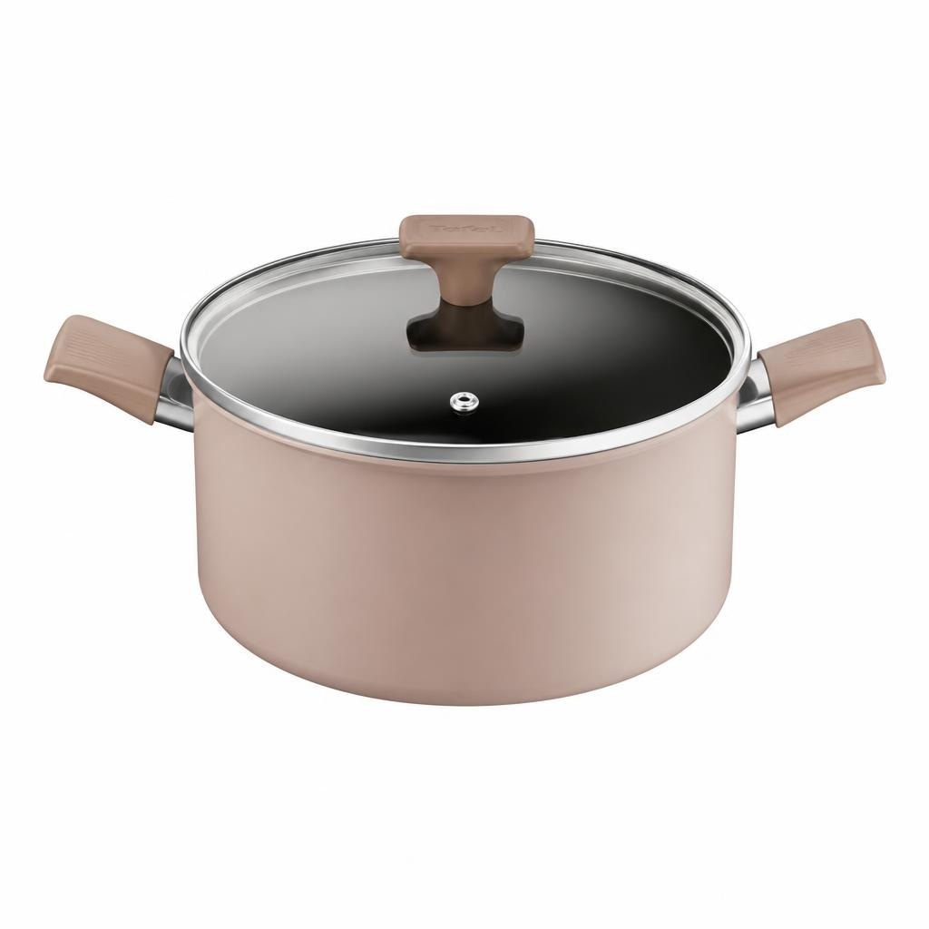 Tefal lonec 24 cm Akcija v trgovini E.Leclerc