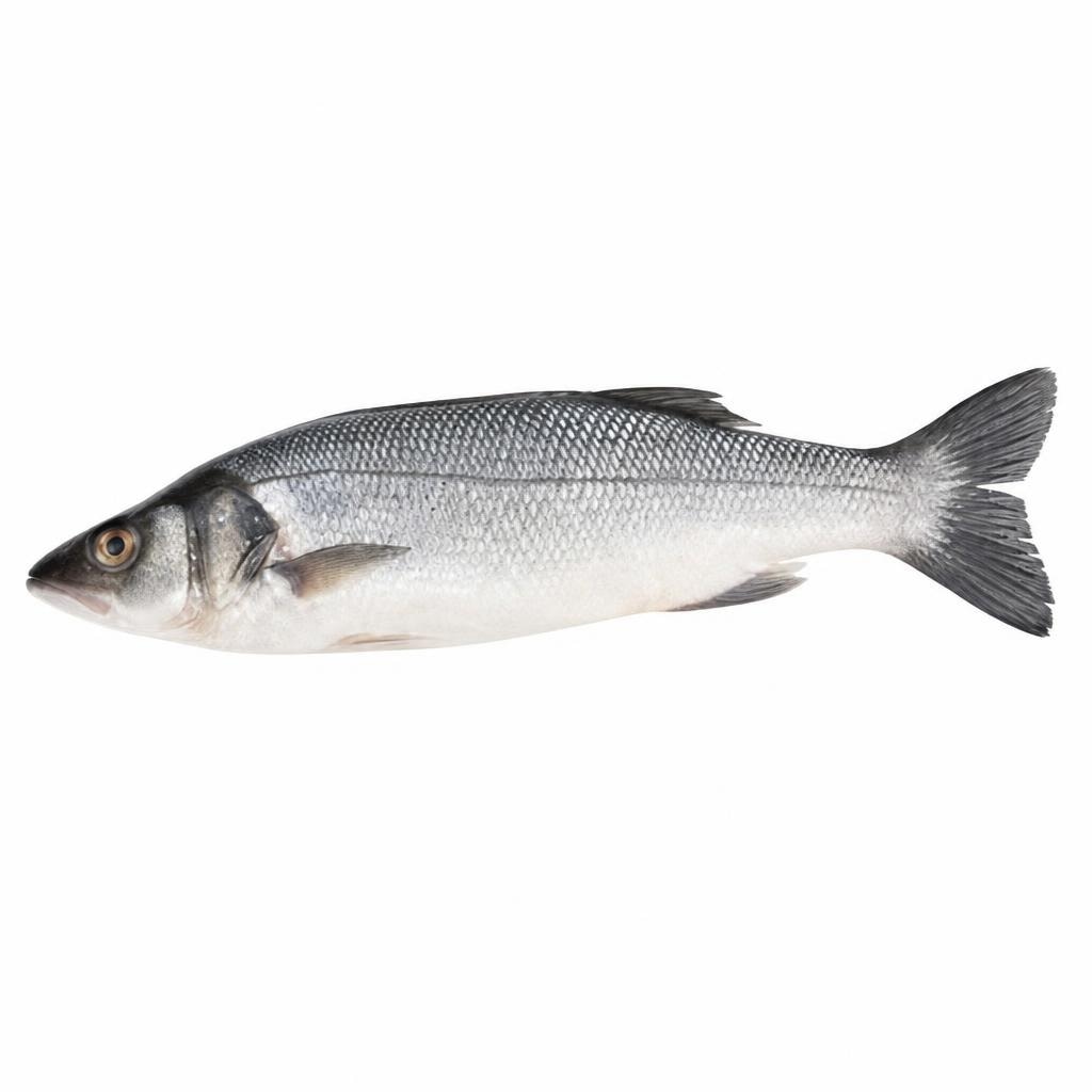 Kornatski brancin 400-600 g Akcija v trgovini Mercator