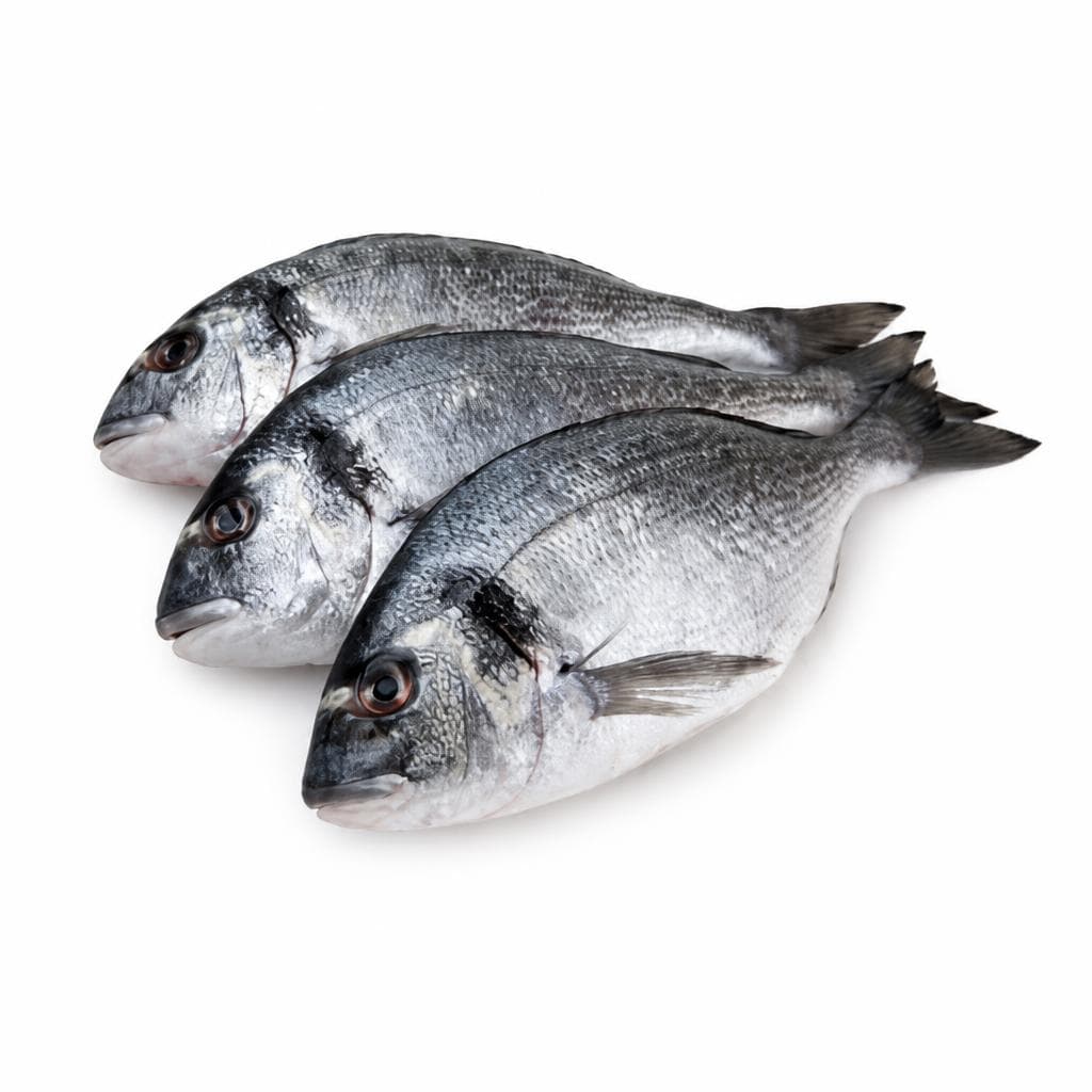 Kornatska orada 400-600 g Akcija v trgovini Mercator