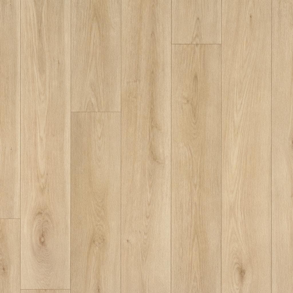 Laminat 'Sunset', 'Moonlight', 'Soft' ali 'Beach' d 1.288 x š 195 x deb. 8 mm, v paketu 2,26 m² Akcija v trgovini Bauhaus