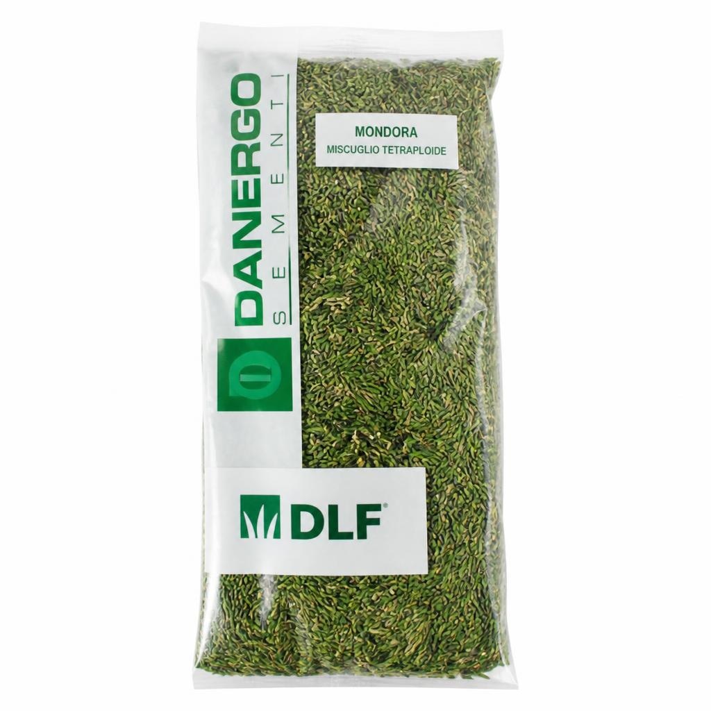 Tetraploidna mnogocvetna ljuljka Mondora ali Danergo 25 kg DLF Akcija v trgovini Jager