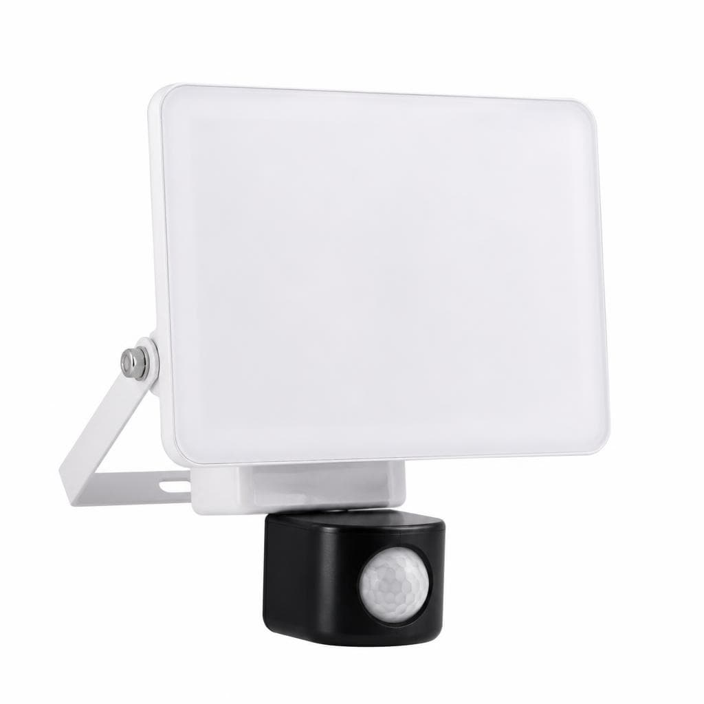 LED reflektor Braytron 3CCT 10 W Akcija v trgovini Jager