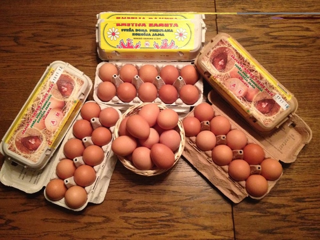 JAJCA KMETIJA RAMUTA