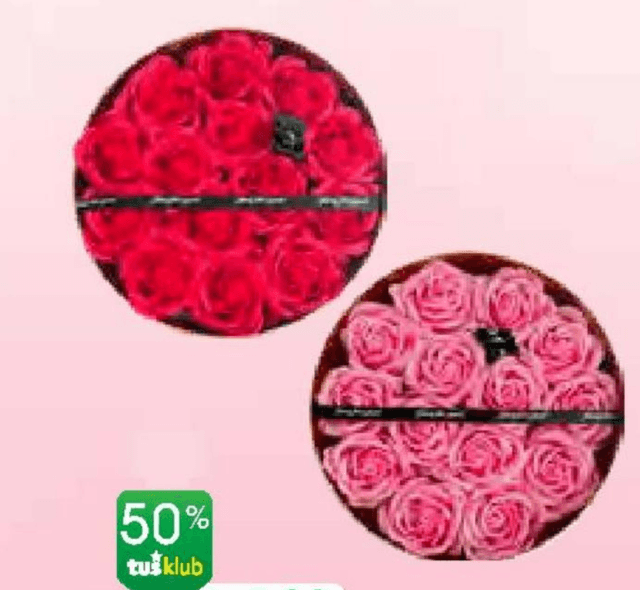 Vivi Okrasna škatla - Tuš katalog