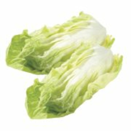 Zelen radič štrucar